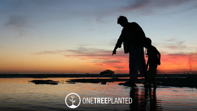 a man and a child standing on a beach at sunset