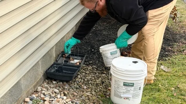 Man wearing gloves sets rodent bait in trap beside house exterior with buckets labeled Contrac rodent bait.