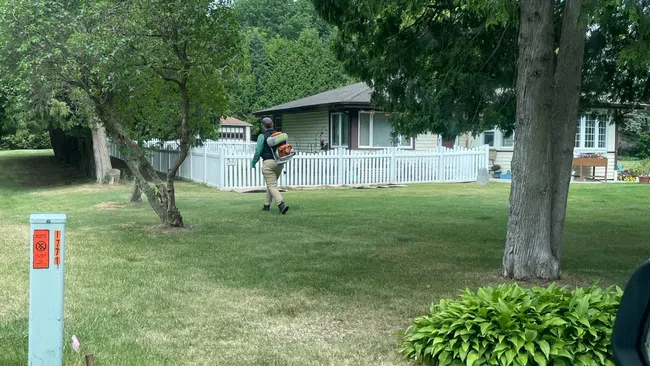 Person walking on grass near white fence in a suburban backyard with trees and a small garden bed.