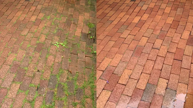 a brick walkway with a flower pot