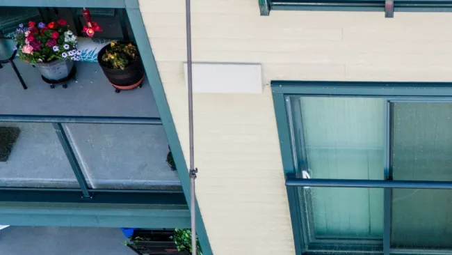 a building with windows and plants on the windows