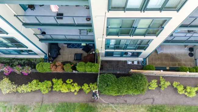 a garden in front of a building