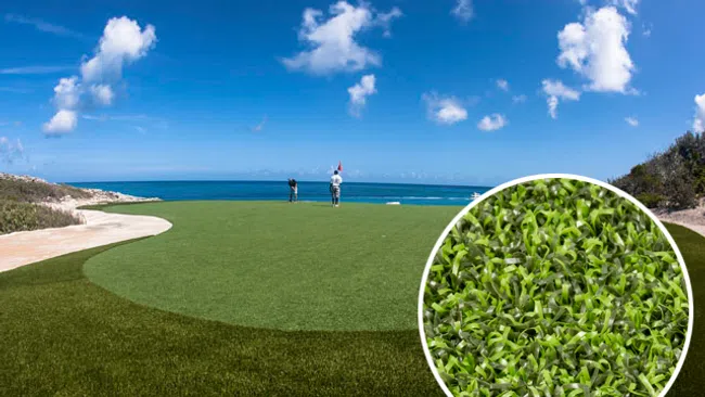 a golf ball on a golf course