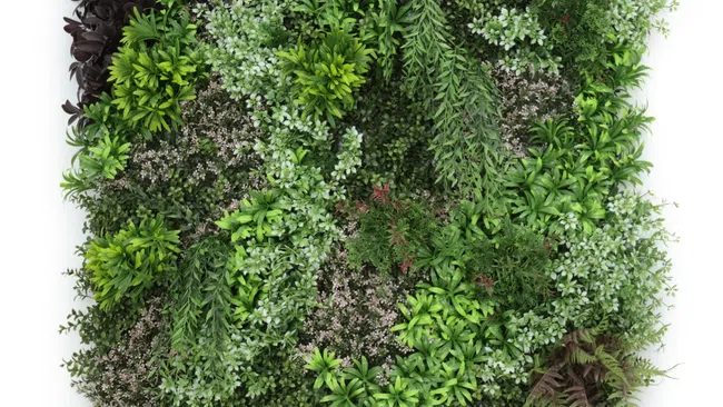 Top view of a dense green vertical garden wall with various leafy plants and textures.