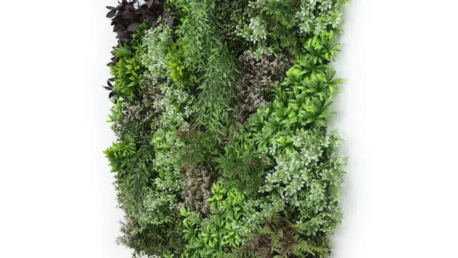 Vertical garden wall panel with diverse lush green and purple foliage against a white background