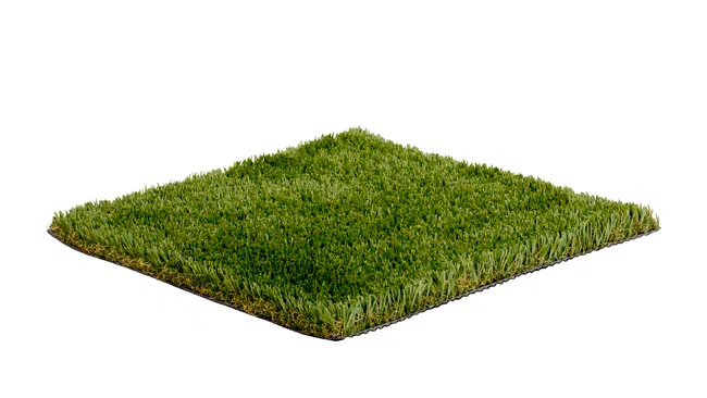 a green grass field