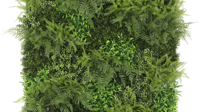 Square panel of mixed green foliage including ferns and leafy plants on a white background