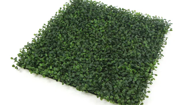 Square artificial green boxwood hedge panel with dense small leaves on a white background.