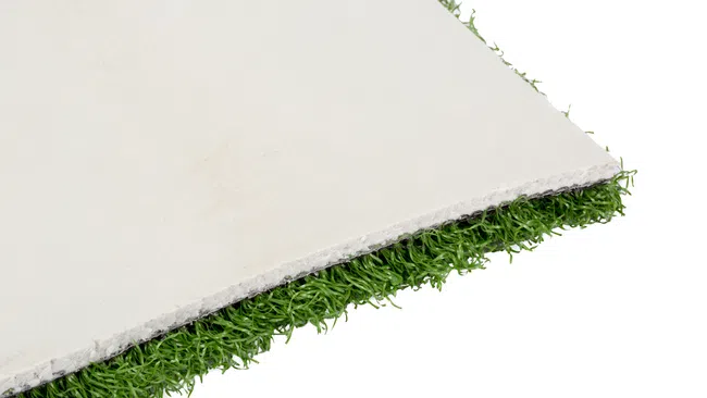 a green line on a white background