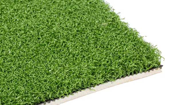 a close up of a green plant