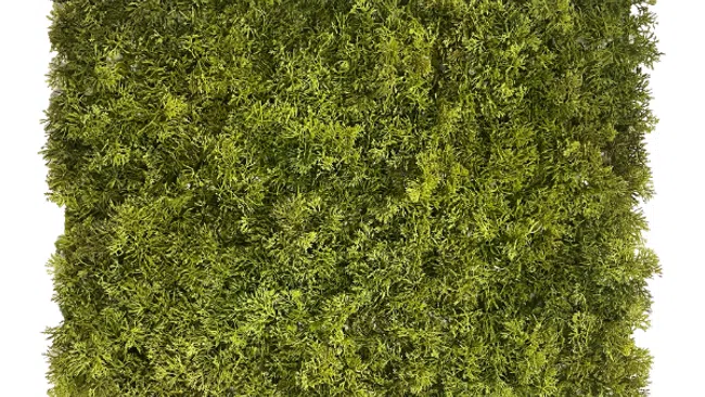 Square dense green artificial hedge panel with small needle-like leaves on white background.