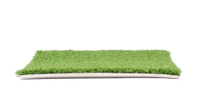 a green hedge with a white background