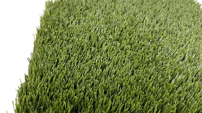 Close-up of a square piece of dense green artificial turf with realistic grass blades and black backing.