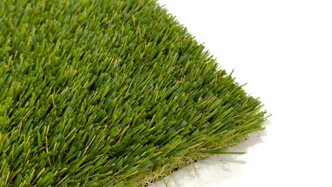 a close-up of a green grass