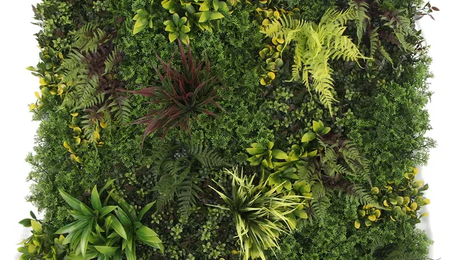 Top view of a dense green wall with various tropical plants and ferns creating a lush square arrangement.