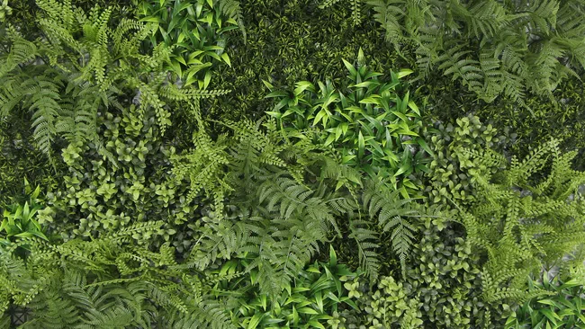 Lush green wall covered with various types of ferns and leafy plants creating a dense natural texture