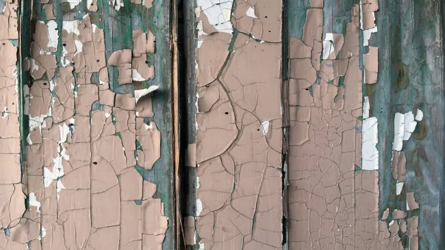 Close-up of peeling beige paint on weathered wooden planks revealing underlying layers and textures.