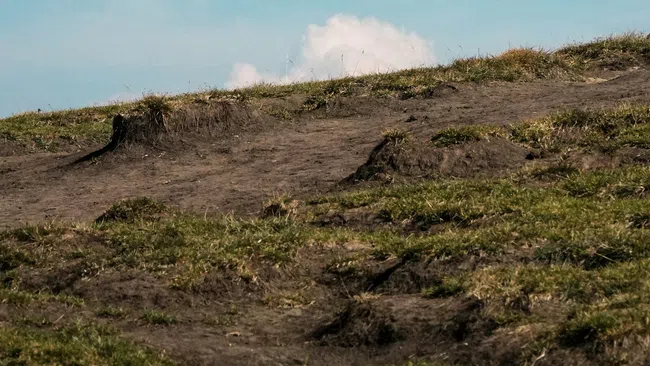 Grassy hill with patches of exposed soil under a bright blue sky with scattered clouds.
