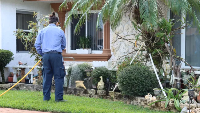 Gardener watering a residential garden with plants, shrubs, and decorative statues near a stone wall.