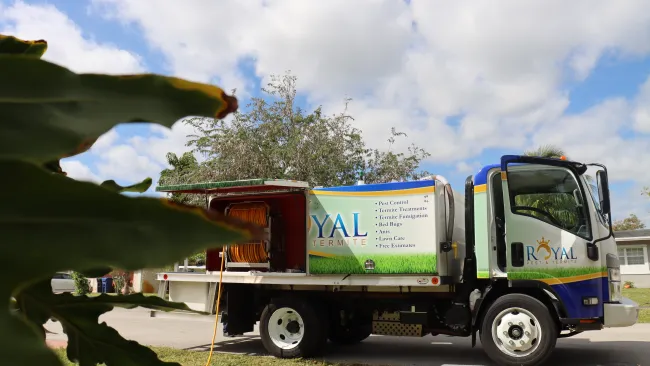 Royal Termite pest control service truck parked on a residential street with equipment and clear blue sky.