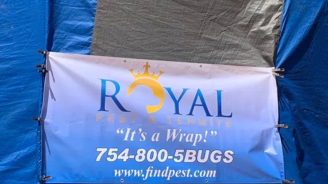 Royal Pest & Termite service banner with contact 754-800-5BUGS and website www.findpest.com against blue tarps.