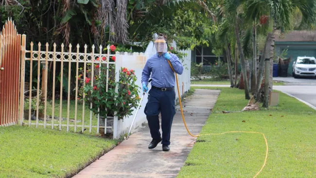 Man wearing protective gear spraying pesticides along a residential sidewalk with green lawns and palm trees.