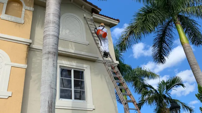 Painter wearing protective gear climbs ladder to paint a two-story house exterior on a sunny day.