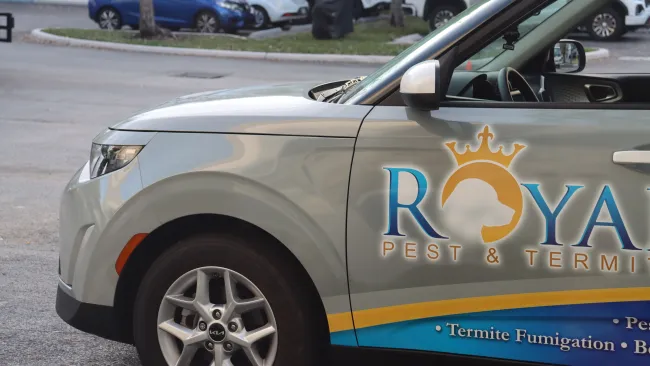 Silver Kia SUV with Royal Pest & Termite service advertisement parked in a lot with other cars in the background