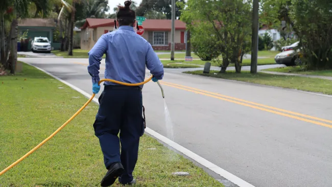 Person in blue shirt watering grass alongside a suburban road with a yellow hose in hand, wearing gloves and mask.