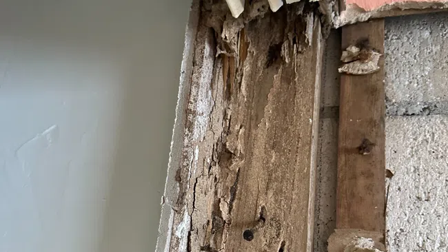 Close-up of severely damaged wooden door frame with rot and decay against a gray wall and brick.