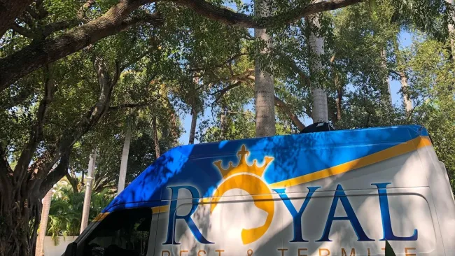 Blue and white Royal Pest & Termite service van parked under green trees with sunlight and shadows.