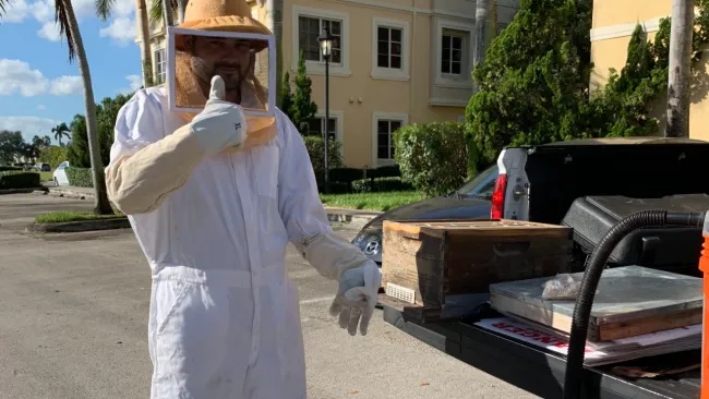 Beekeeper in protective suit giving thumbs up next to a truck with beekeeping equipment in sunny outdoor setting