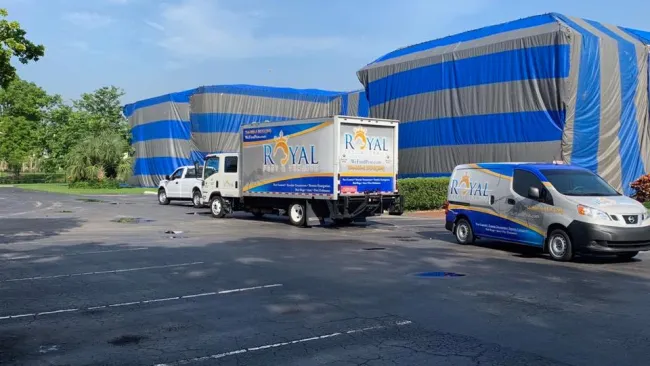Royal Pest Control trucks parked near large buildings covered with blue and gray protective tarps under a clear sky