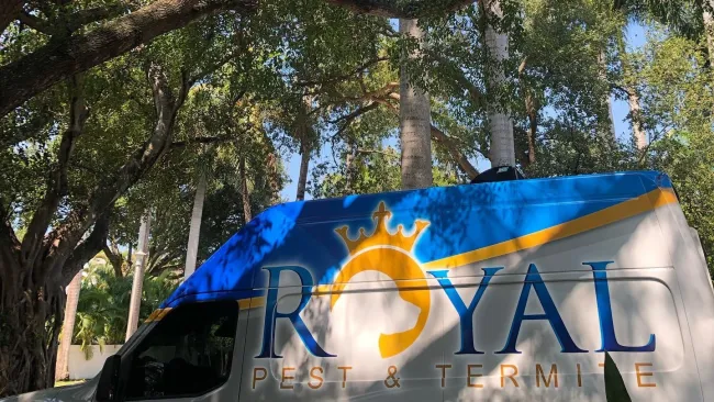 Side view of a Royal Pest & Termite service van under large trees with sunlight and shadows.