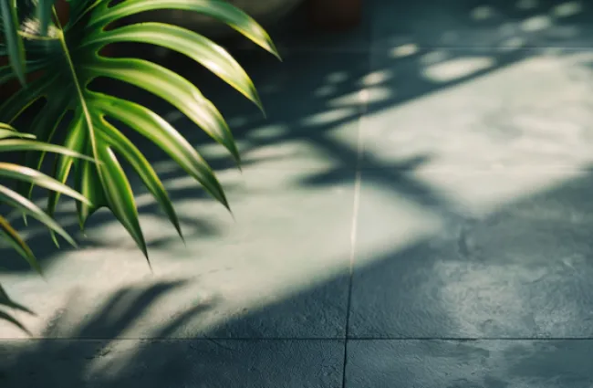 Sunlight casting shadows of green palm leaves on dark gray tiled floor in a serene indoor setting