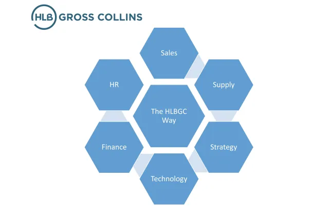 Hexagonal diagram showing business functions like Sales, HR, Finance connected to The HLBGC Way at the center.