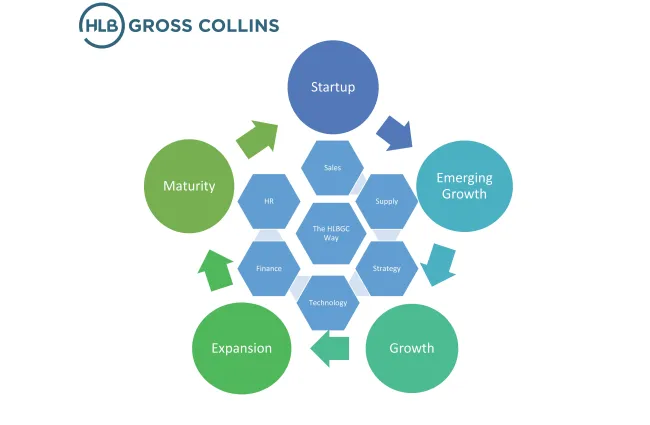 Circular business growth stages diagram showing startup, emerging growth, growth, expansion, and maturity with related functions.