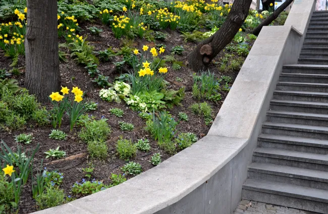 a stone staircase with yellow flowers