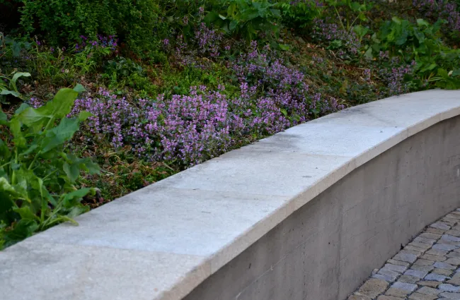 a white wall with purple flowers