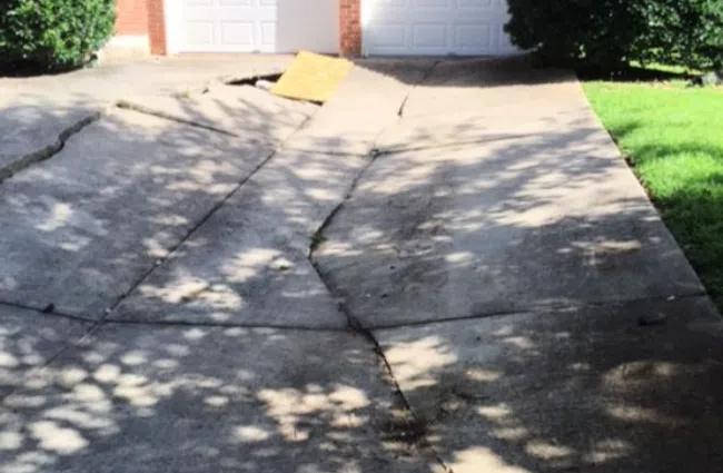 Cracked concrete driveway leading to a home with garage doors and greenery.
