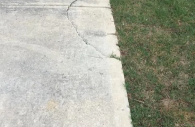 Cracked concrete driveway with green grass nearby, highlighting surface damage and lawn contrast.