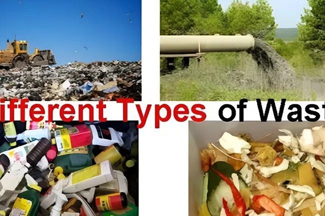 Different Types of Waste and How to Manage Them Effectively