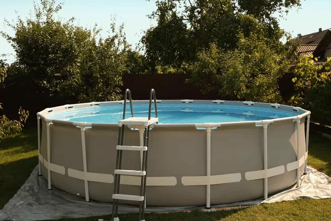 Round above-ground swimming pool with ladder set up in a sunny backyard surrounded by trees and grass