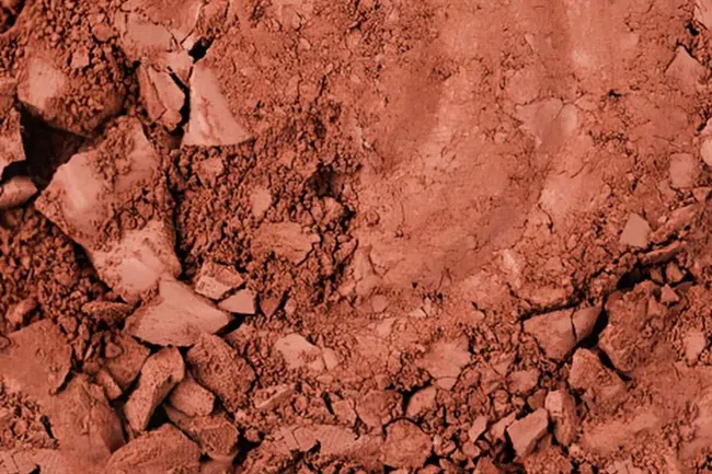 Close-up of cracked, dry reddish-brown soil with scattered small rocks and dust particles.
