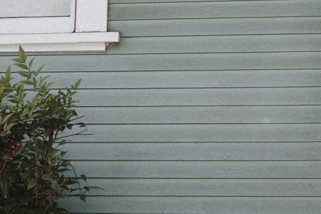 Green horizontal siding wall with a white-framed window and a leafy shrub with red berries.
