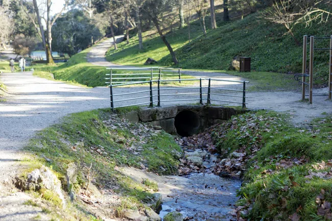 Small stream flowing under a metal-railed bridge on a forest park path with trees and greenery