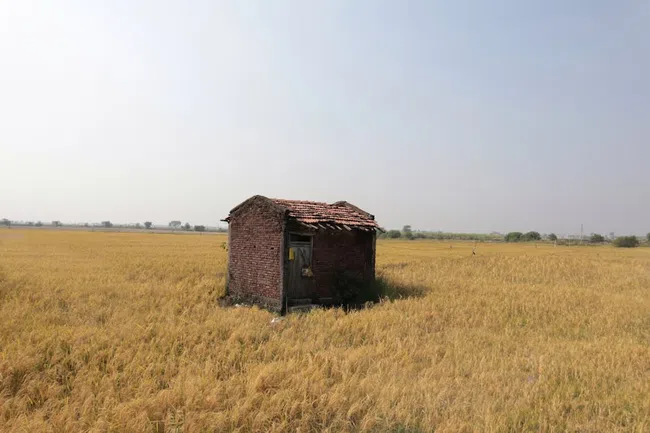 Old Shed Removal Costs: A Comprehensive Guide