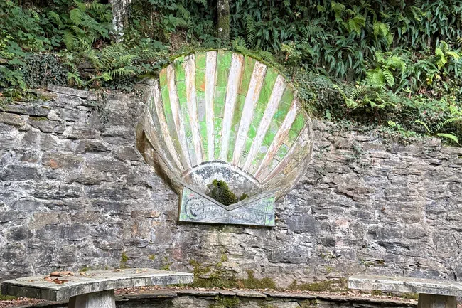 Stone shell-shaped fountain with moss, surrounded by green foliage and curved stone benches in a forest setting.