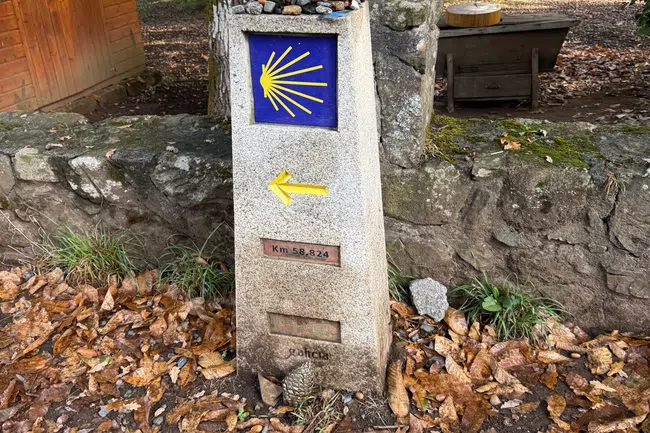 Stone Camino de Santiago marker with yellow shell symbol and arrow, surrounded by autumn leaves and rustic background.