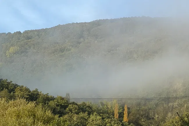 Foggy hillside covered with dense green trees under a blue sky, partially obscuring a small bridge.